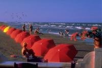 Gulf Coast