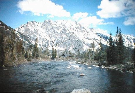 Cottonwood Creek, Grand Teton National Park - picture