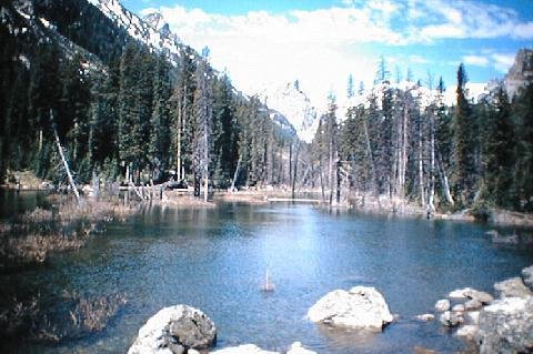 Cascade Canyon, Grand Teton National Park - picture