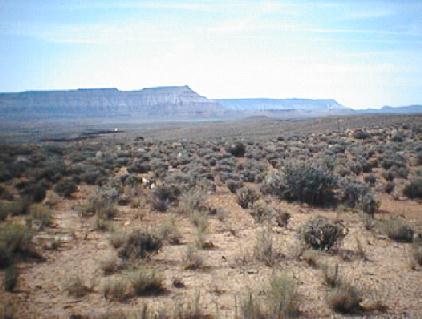 American West - a typical landscape