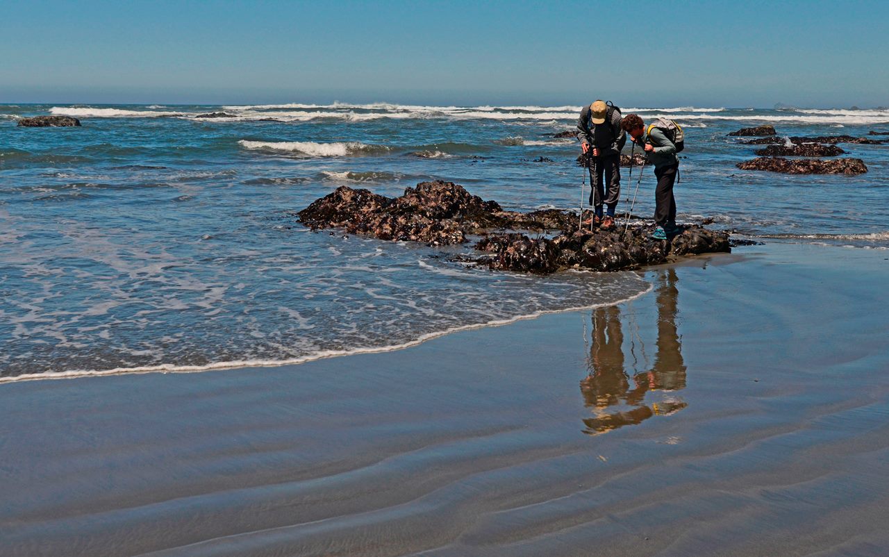 Two visitors looking at tidepools.
