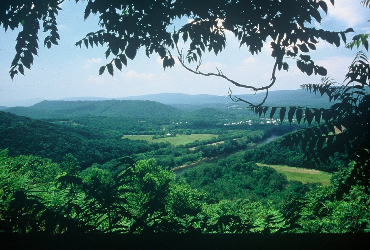 Lush green hues emanate from the West Virgina landscape as seen from the Panorama Overlook.