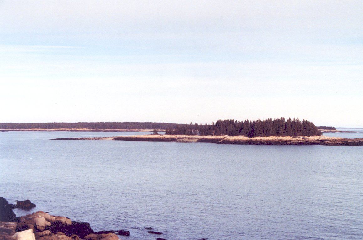 Near the end of Schoodic Point Road, the ocean comes close to the road, and there is a clear view of a flat, forested island.