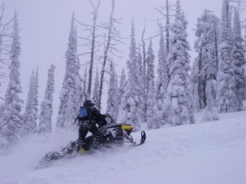 Snow covered trees provide a perfect backdrop for a snowmobiler near Trestle Creek on the Pend Oreille Scenic Byway.