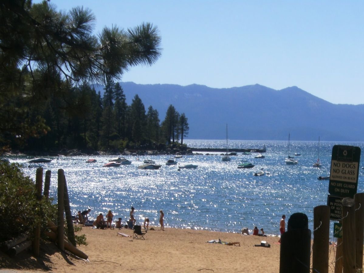 The clear blue water of Lake Tahoe sparkles under a cloudless sky. Lush evergreen trees line the beach. Across the lake you can see mountain silhouettes.