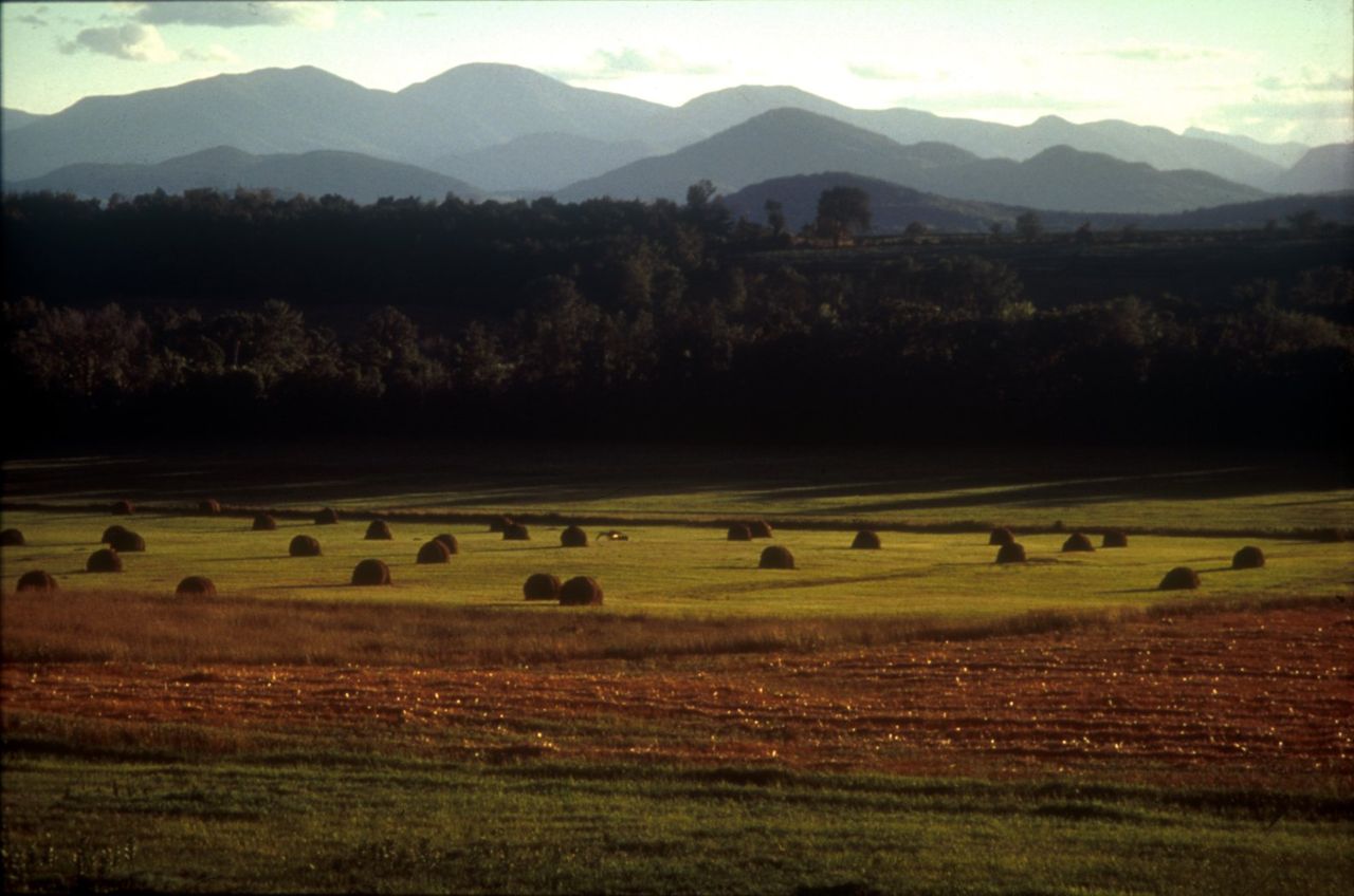 Working farmland in the Town of Essex. Farming and forestry shapes the landscape of Lakes to Locks Passage. Agriculture provides the ambiance of the small villages and hamlets throughout the region and maintains the scenic resources and quality of life that is enjoyed by all.