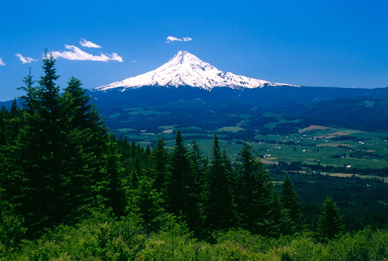 From Middle Mountain, a sweeping view of Mt. Hood is presented.