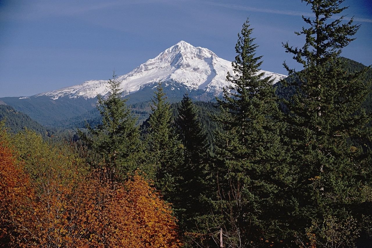 Next to evergreens, a smattering of trees show the touch of fall. The snowcapped peak of Mt. Hood provides a lovely backdrop.